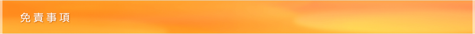 免責事項